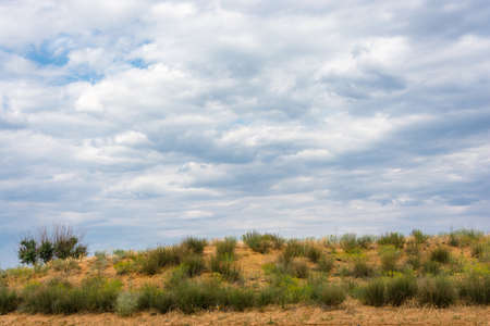 Bright summer Prairie landscape with a beautiful cloudy sky.
