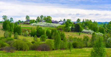 Beautiful spring rural landscape with blooming gardens and bright green grass and foliage.の写真素材
