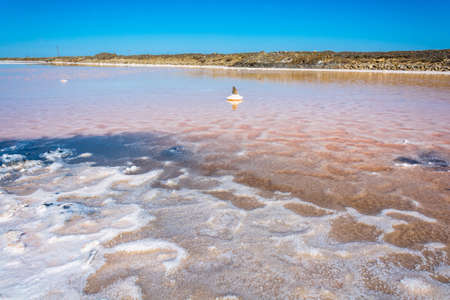 Exotic salt lake Baskunchak in Astrakhan oblast, Russia.