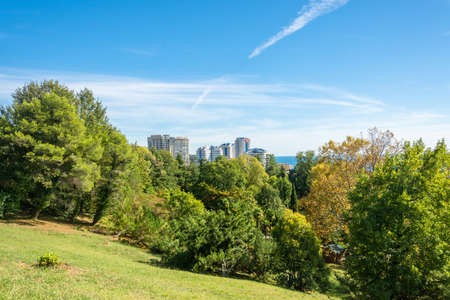 In the Park-the arboretum of Sochi city on a Sunny autumn day.の写真素材