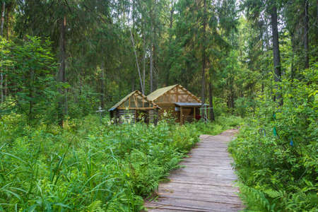 Holy spring of Saint Nicholas in the thickets of the forest, near the town of Pestyaki, Ivanovo oblast, Russia.のeditorial素材
