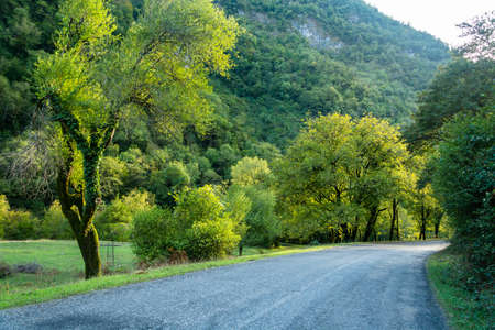 Mountain road in Abkhazia in autumn day.の写真素材
