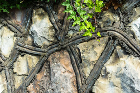 Beautiful stone texture with green plants on a Sunny day.の写真素材
