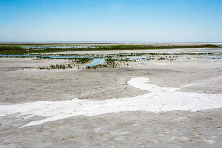 Exotic lake Elton in summer Sunny day. Volgograd region, Russian Federation.