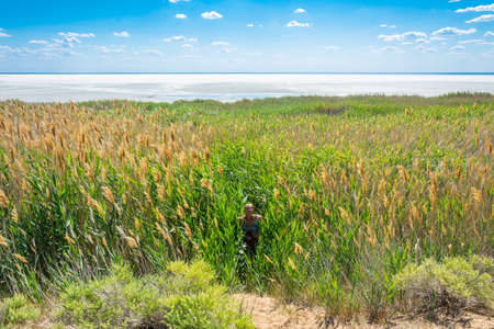 Exotic lake Elton in summer Sunny day. Volgograd region, Russian Federation.の写真素材