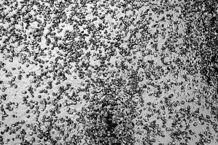 Texture small stones in the bitumen for the construction of asphalt roads.の写真素材