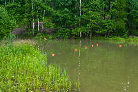 A small forest pond with an orange floats in a frame of green leaves and grass.の写真素材