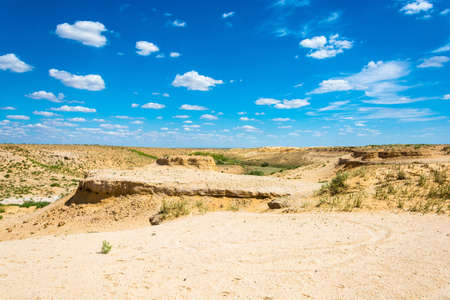 Desert landscape on a summer day near the lake Baskunchak, Astrakhan region, Russia.の写真素材