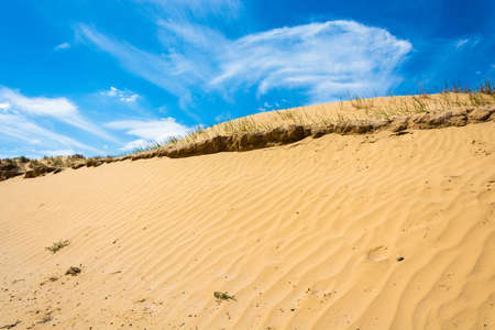 Desert landscape on a summer day near the lake Baskunchak, Astrakhan region, Russia.の写真素材