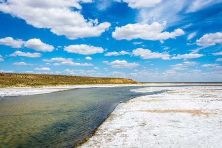 In the vicinity of the salt lake Baskunchak, Astrakhan region, Russia.の写真素材