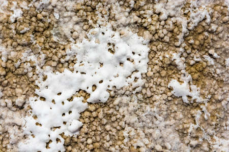Amazing texture of the salt lake Baskunchak, Astrakhan region, Russia. の写真素材