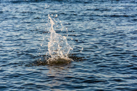 Big splash of water from the thrown stone, uneven on the surface of the water.の写真素材