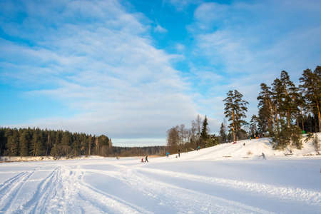 Pine forest, Kostroma region, Russia - January 16, 2016: winter Skiing with the mountains in the Pine forest boarding house, January 16, 2016, the Pine forest, Kostroma region, Russia.の写真素材