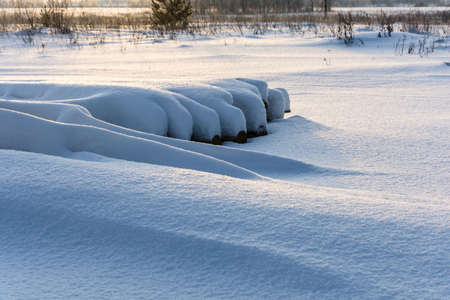 Winter sketch with logs covered with snow on a Sunny cold day.の写真素材