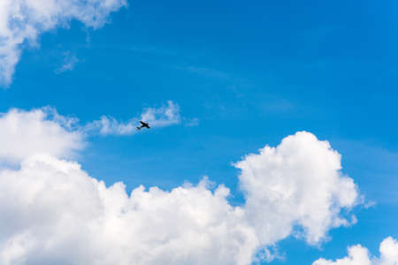 Flying aircraft against a beautiful sky on a Sunny day.の写真素材