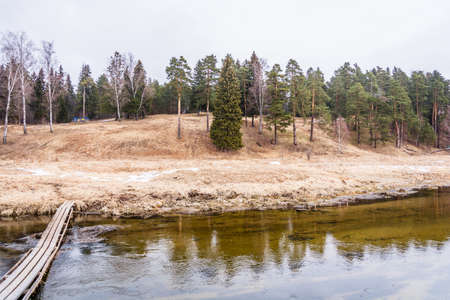 Beautiful spring landscape with a wooden bridge in a gloomy March day.の写真素材