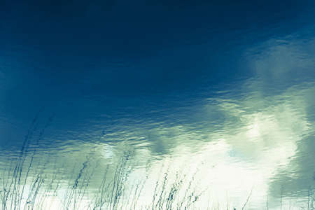 Abstraction. Beautiful and magical reflection in the water of the sky and trees. 