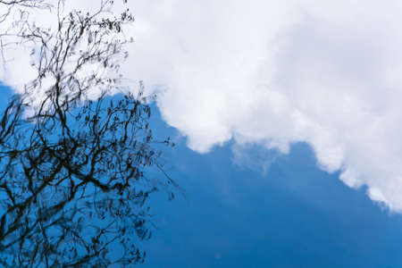 Abstraction. Beautiful and magical reflection in the water of the sky and trees. の写真素材