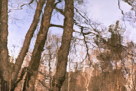 Abstraction. Beautiful and magical reflection in the water of the sky and trees.の写真素材