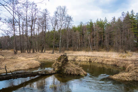 Beautiful river scenery in spring April day in the Ivanovo region, Russia.の写真素材