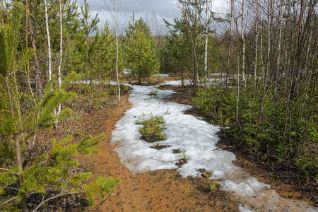 Beautiful spring landscape on a Sunny April day in Ivanovo oblast, Russia.の写真素材