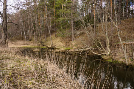 Beautiful river scenery in spring April day in the Ivanovo region, Russia.の写真素材