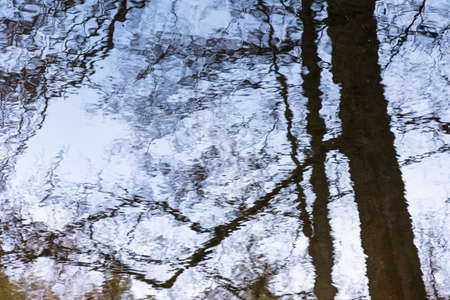 Abstraction. Beautiful and magical reflection in the water of the sky and trees. 