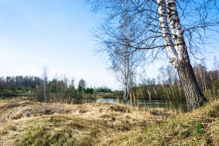 Beautiful spring landscape with a small lake and a blue cloudless sky.の写真素材