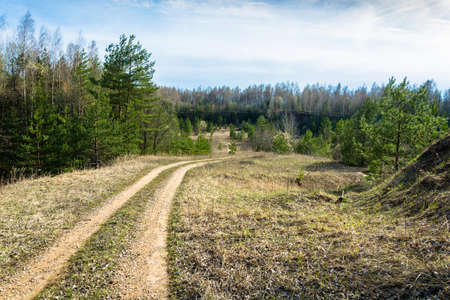 Beautiful spring landscape with forest road day in may day.