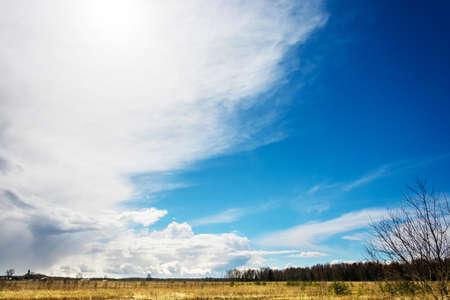 Beautiful spring landscape with the cloudy sky and yellow last year's grass field.の写真素材