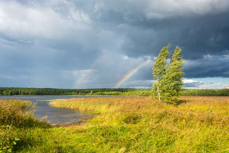 Colorful rainbow in the background of a beautiful cloudy sky in summer windy day.の写真素材