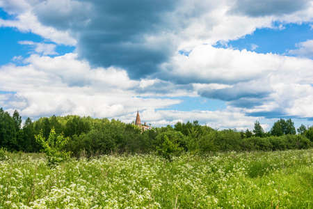 Beautiful summer landscape with Church domes and white wildflowers in Sunny day, Russia.の写真素材