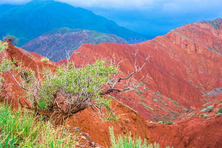 Beautiful mountain landscape in the Aeolian mountains on a summer day, Kyrgyzstan.