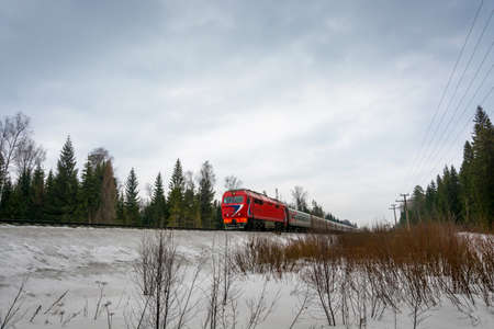 Red the train moves by railroad among the pine forest on a winter day.