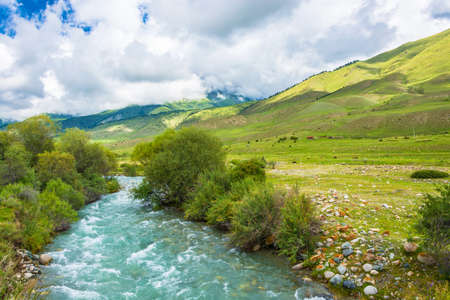Small rapid mountain river in the Semenov gorge on a summer day, Kyrgyzstan.の写真素材