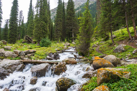 Panorama of beautiful mountain landscape with a turbulent river in a sunny summer day, Kyrgyzstan.の写真素材