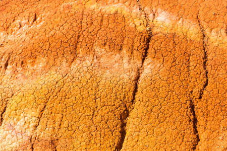 Bright beautiful texture of dry ground in the sunshine.の写真素材