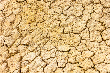 Bright beautiful texture of dry ground in the sunshine.