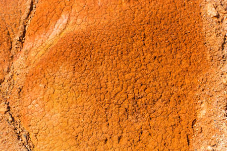 Bright beautiful texture of dry ground in the sunshine.