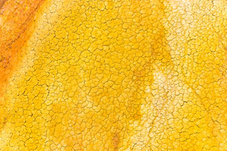 Bright beautiful texture of dry ground in the sunshine.