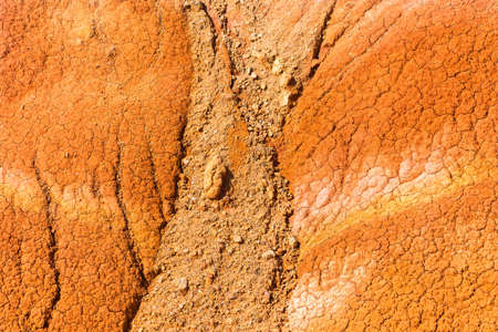 Bright beautiful texture of dry ground in the sunshine.の写真素材