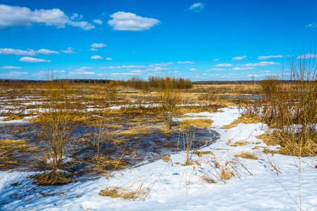 Beautiful spring landscape in the Central part of Russia on a Sunny day.の写真素材