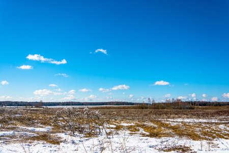 Beautiful spring landscape with white clouds on a blue sky.の写真素材
