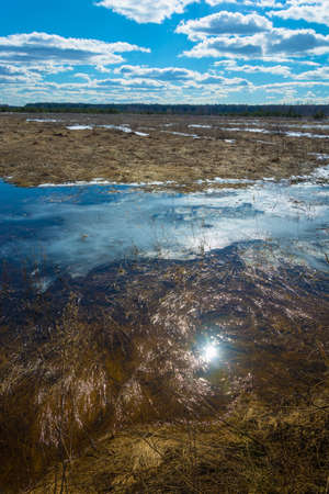 Spring landscape with bright white clouds and the reflections in the water.の写真素材
