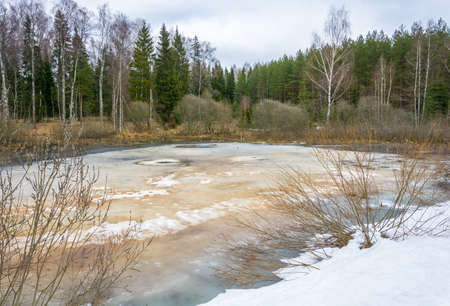 Beautiful spring landscape with small forest lake covered with ice.の写真素材