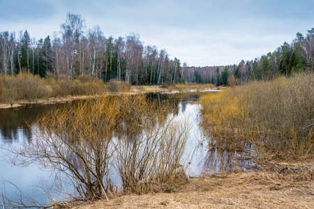Beautiful water spring landscape in the Central part of Russia.の写真素材