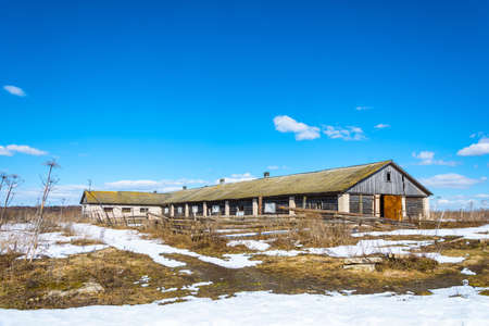 Abandoned cattle farm in the Central part of Russia on a Sunny spring day.の写真素材