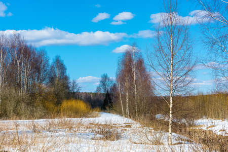 Beautiful spring landscape in the Central part of Russia on a Sunny day.の写真素材