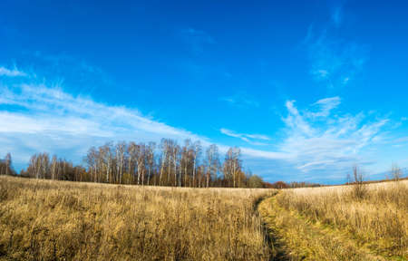 Beautiful autumn landscape in a bright cloudless Sunny day.の写真素材