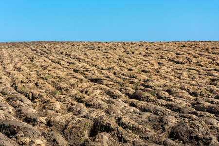 Plowed a large field on a cloudless Sunny spring day.の写真素材